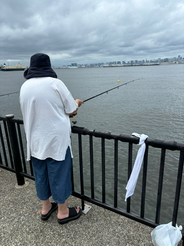 若洲海浜公園海釣り施設