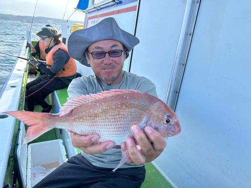 マダイの釣果