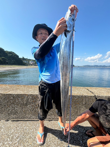 タチウオの釣果