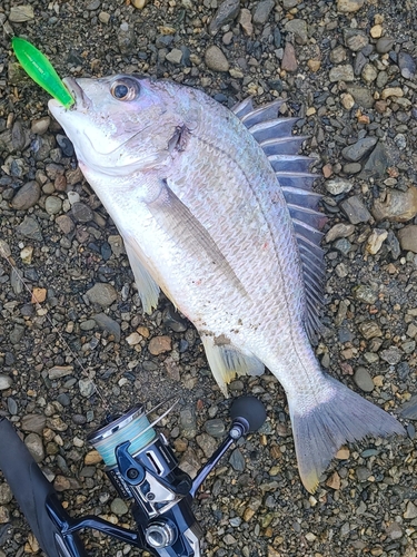 奥浜名湖