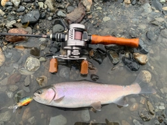 アメマスの釣果