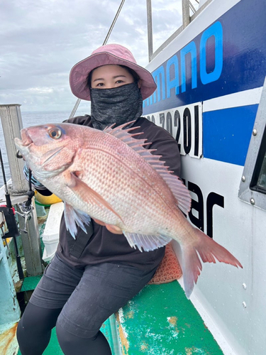 タイの釣果