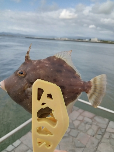 新居海釣公園