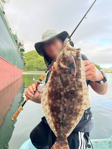 ヒラメの釣果