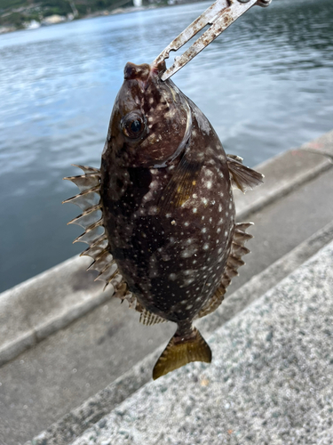 釣果