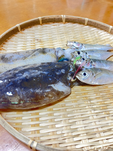 釣果