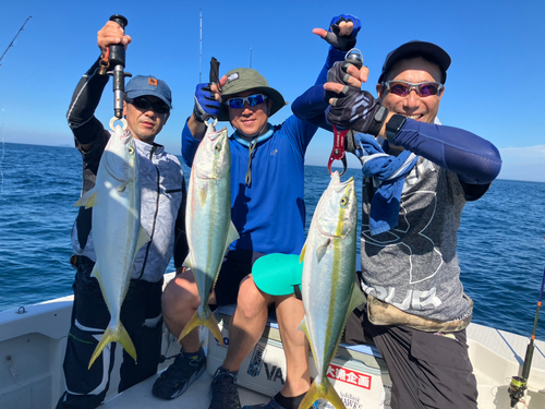 アラカブの釣果