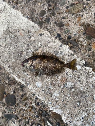 鹿島港魚釣園