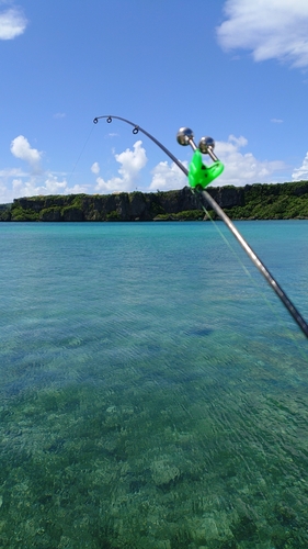 ムラサメモンガラの釣果