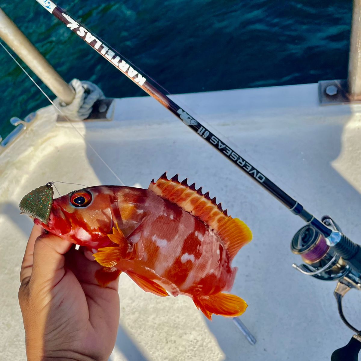 アッシー（H.ashihara）さんの釣果 1枚目の画像