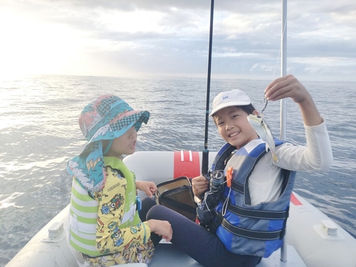 シロサバフグの釣果