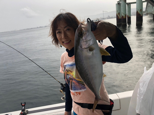 シオの釣果