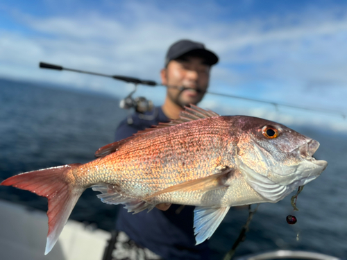 タイの釣果