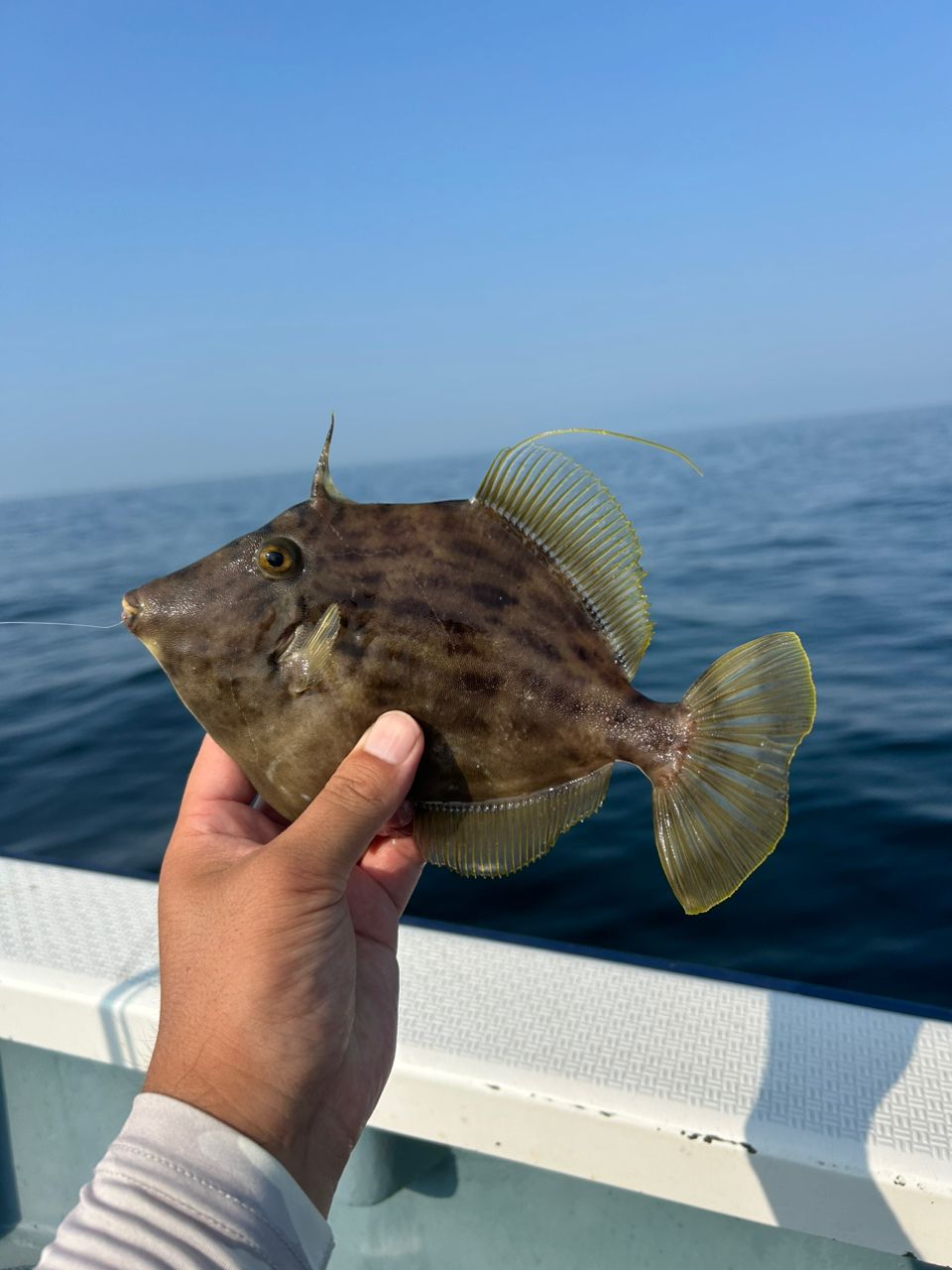 きンちゃンさんの釣果 2枚目の画像