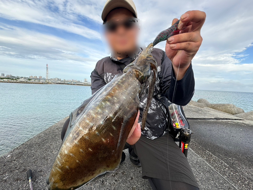 沖縄本島近海