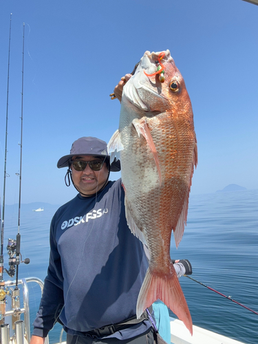 マダイの釣果