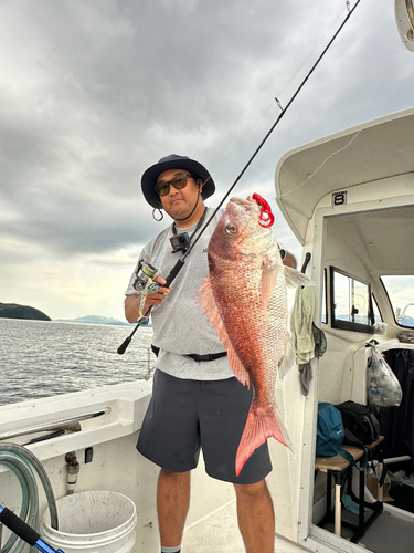 マダイの釣果