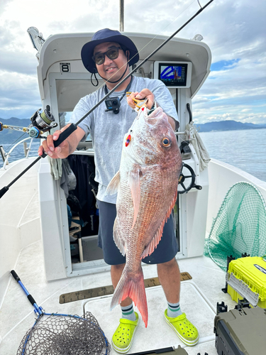 マダイの釣果