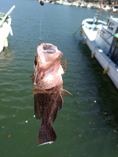 釣果