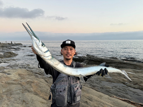 オキザヨリの釣果