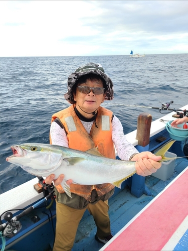 ワラサの釣果