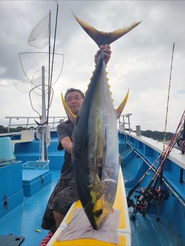 キハダマグロの釣果