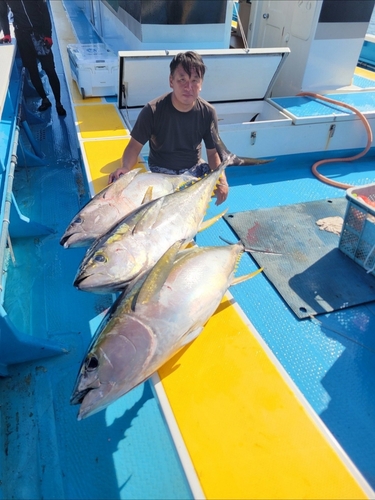 キハダマグロの釣果