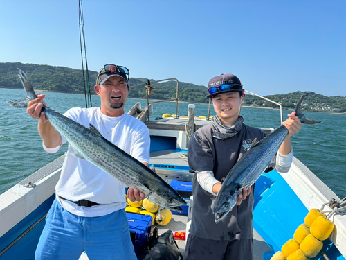 サワラの釣果