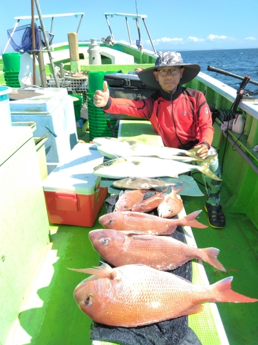 マダイの釣果