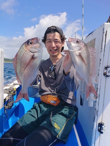 マダイの釣果