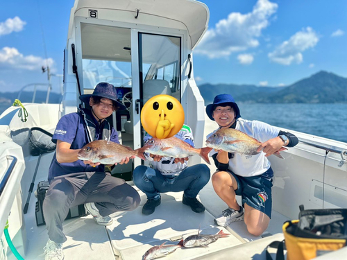 マダイの釣果