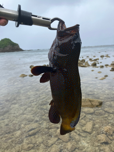 沖縄本島