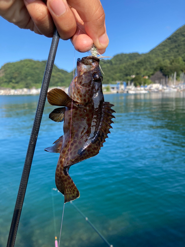 ノミノクチの釣果