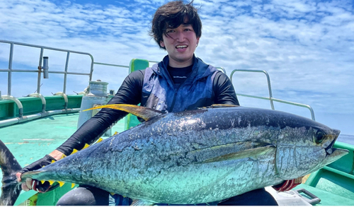 キハダマグロの釣果