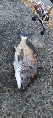 中浜名湖