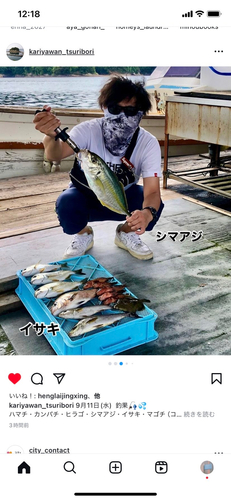 シマアジの釣果