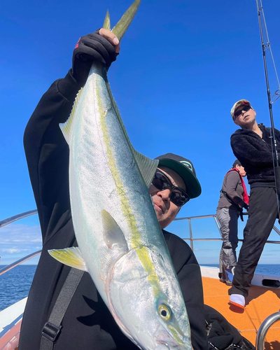 ブリの釣果