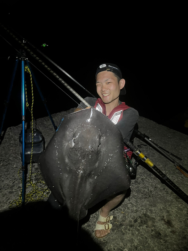 ホシエイの釣果