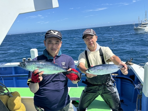 カツオの釣果