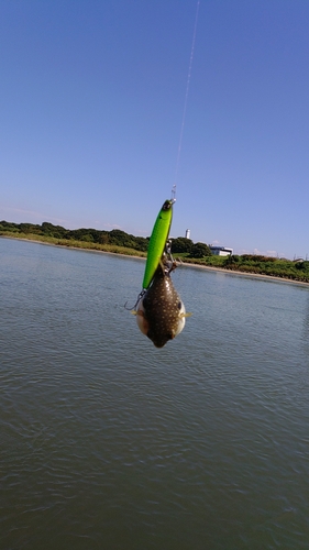 馬入ふれあい公園