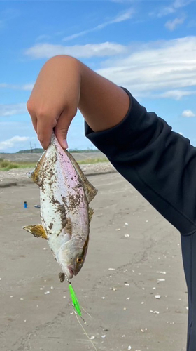 ショゴの釣果