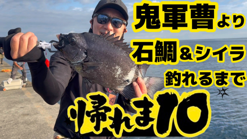 イシダイの釣果