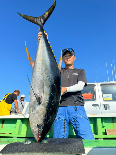 キハダマグロの釣果