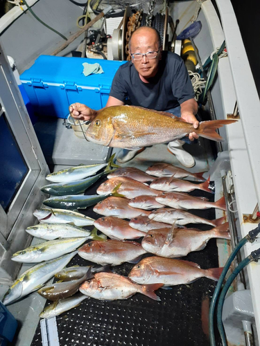 マダイの釣果