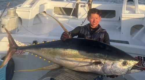 キハダマグロの釣果