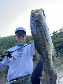 ブラックバスの釣果