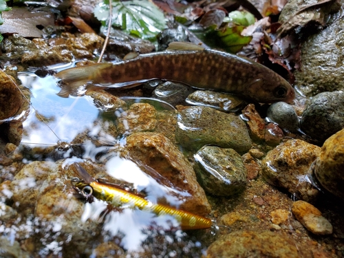 岐阜県北部