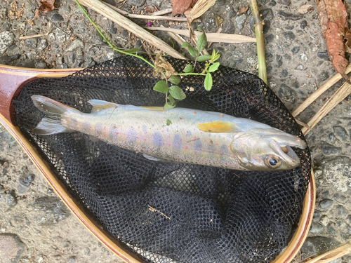 山梨県北部