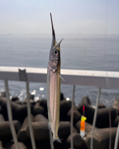 高洲海浜公園