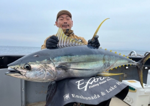 キハダマグロの釣果